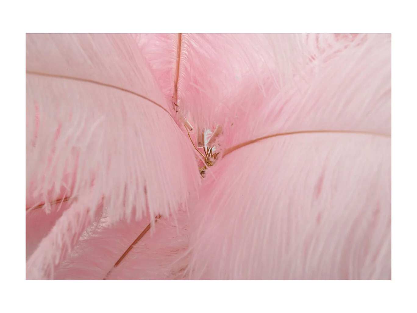 Lampa podłogowa Palm Pink Cm Ø55X160 3769990 - obrazek 1