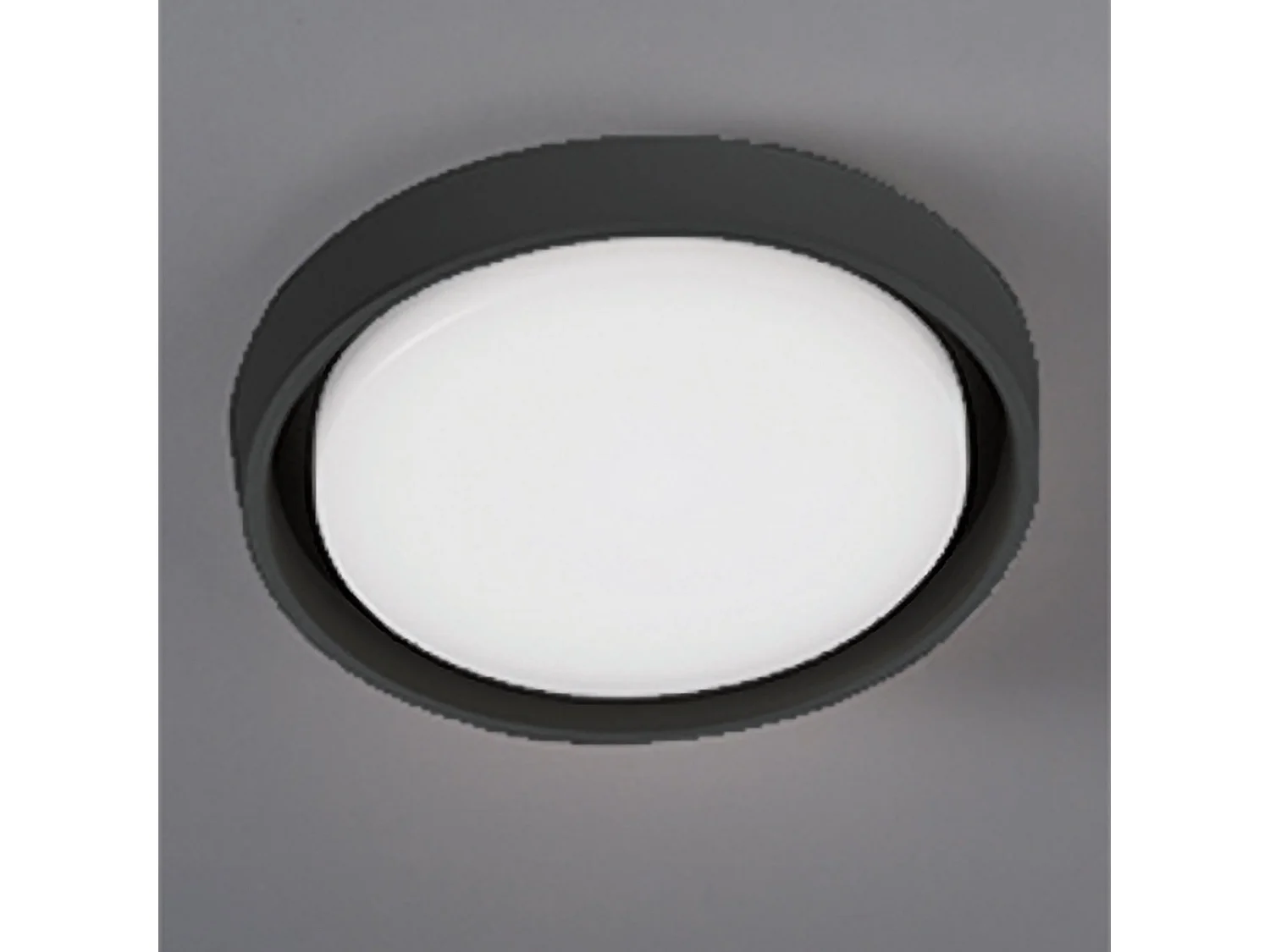 Lampa ścienna i sufitowa LED Alu, ciemnoszara, 30 W, 3000 K, IP54, nowoczesny okrągły design z satynowym opalowym dyfuzorem z poliwęglanu 5012199 - obrazek 1