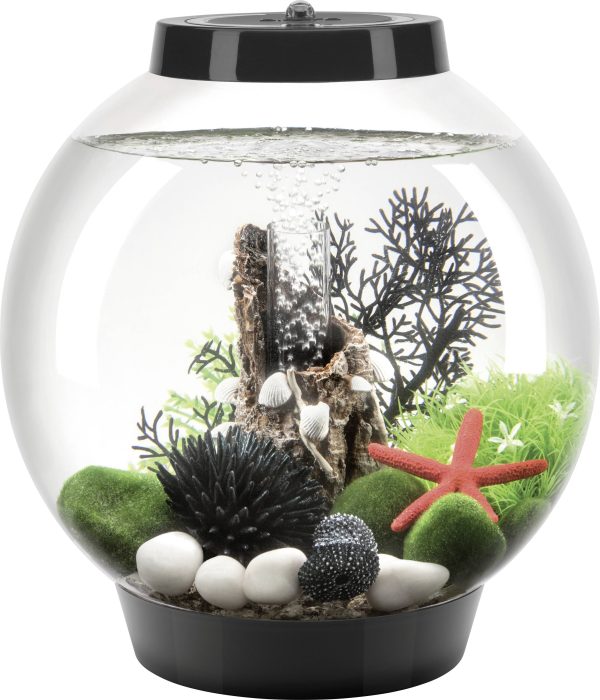 Akwarium akrylowe Oase biOrb CLASSIC 15 LED schwarz 71999, z Podświetleniem LED, 15 l, (Ø x W) 300 mm x 320 mm
