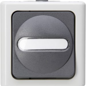 Kopp 561456001 1 szt. Osprzęt elektroinstalacyjny do pomieszczeń wilgotnych Komplet Przycisk BlueElectric szary Kopp 561456001 1 szt. Osprzęt elektroinstalacyjny do pomieszczeń wilgotnych Komplet Przycisk BlueElectric szary