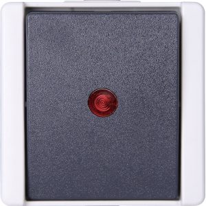 Kopp 541656003 1 szt. Osprzęt elektroinstalacyjny do pomieszczeń wilgotnych Komplet Przełącznik z kontrolką proAQA szary Kopp 541656003 1 szt. Osprzęt elektroinstalacyjny do pomieszczeń wilgotnych Komplet Przełącznik z kontrolką proAQA szary