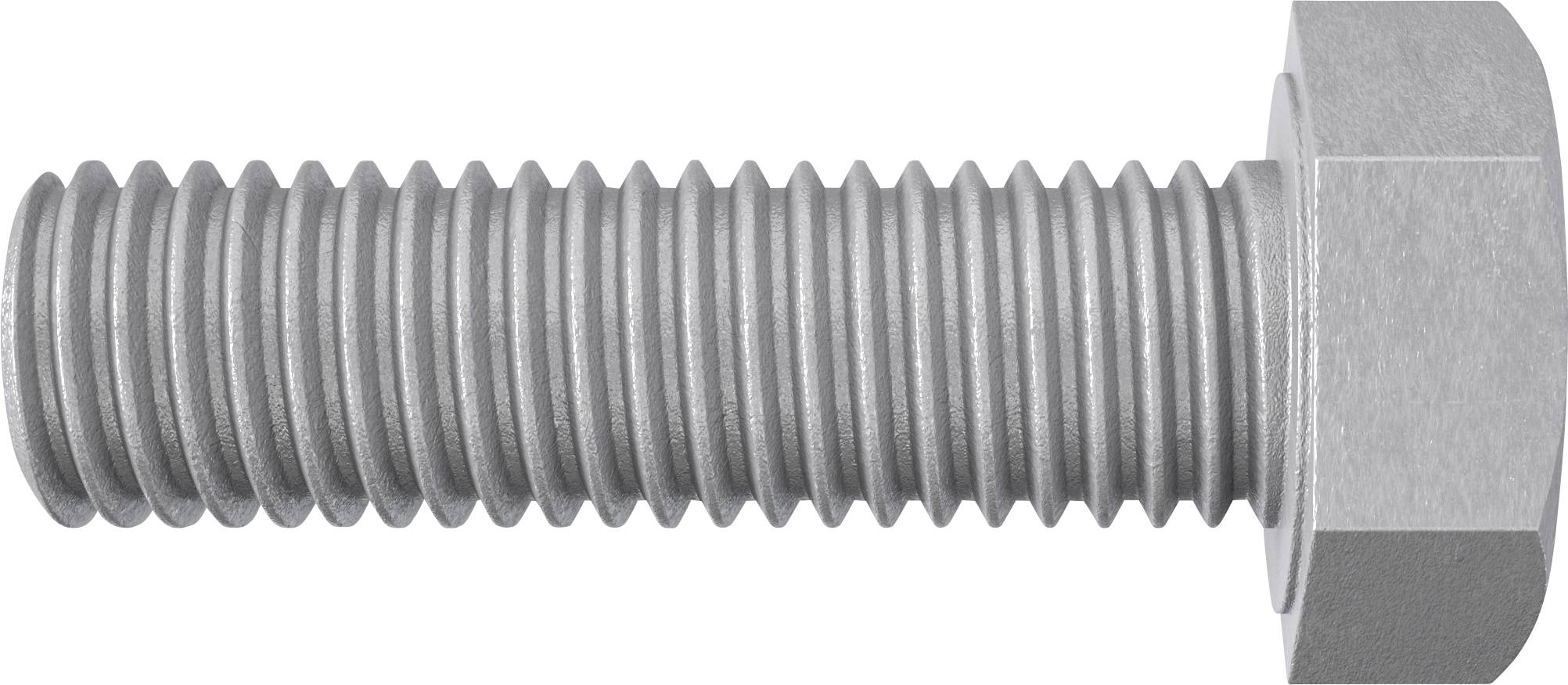 Fischer 537681 Śruba z łbem sześciokątnym 10 mm 25 mm stal ocynkowany ogniowo 100 szt. - obrazek 1